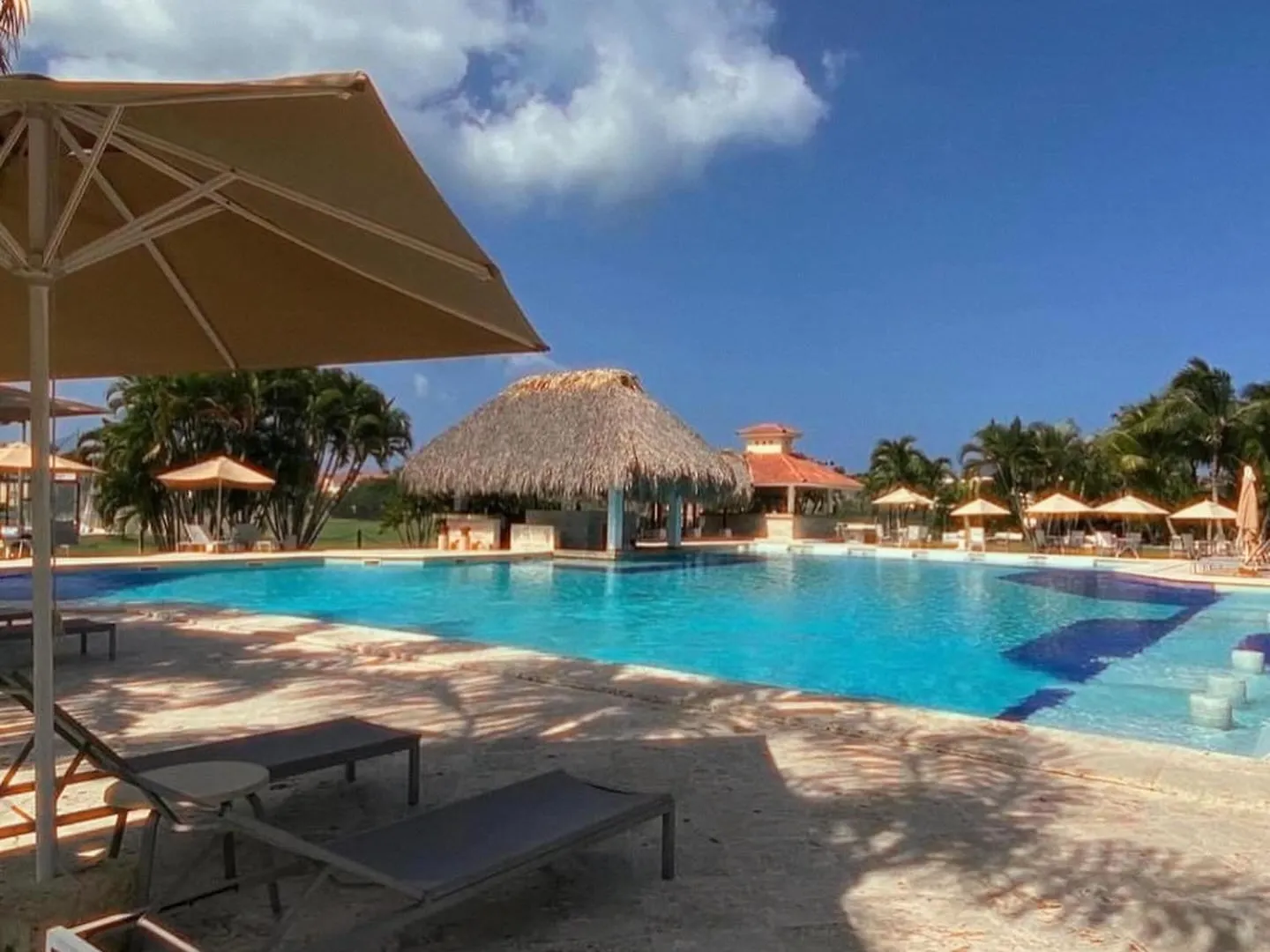 Apartamento Coco Palmera 蓬塔卡纳